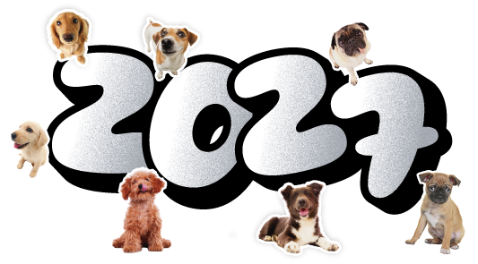 Calendário Meu Cão no SESI